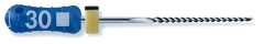 Limes K-File Ready Steel  Longueur 21 mm Dentsply Sirona 166518