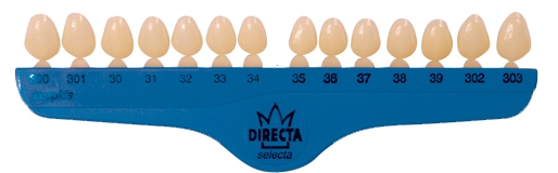 Couronnes opaque / Canines Canines droites Directa 161782