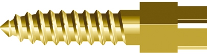 Screw-posts doré La boîte assortie Kent Dental 181856