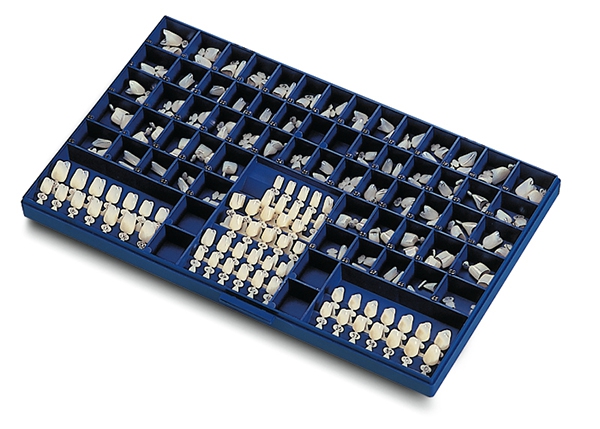 Coffret d introduction Couronnes en polycarbonate avec barrette-guide Kent Dental 181311