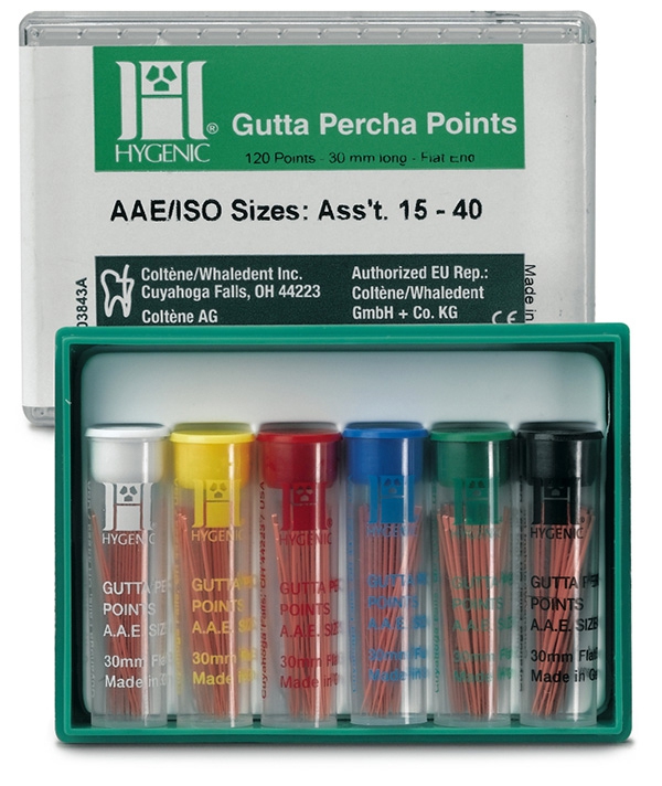 Pointes de Gutta  La boîte de 100 pointes Hygenic 169165