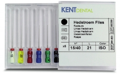 Racleurs H-File Longueur 21 mm Kent Dental 169339