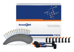 GrandioSO La seringue de 4 g Voco 165154