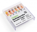 Pointes de Guttapercha Greater Taper
 Conicité 4 % Roeko 168370