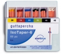 Pointes de Gutta IsoTaper - conicité 4 % et 6 %  Steriblue 169183