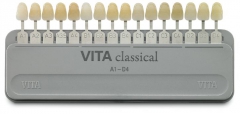 Teintier  Vita 170713