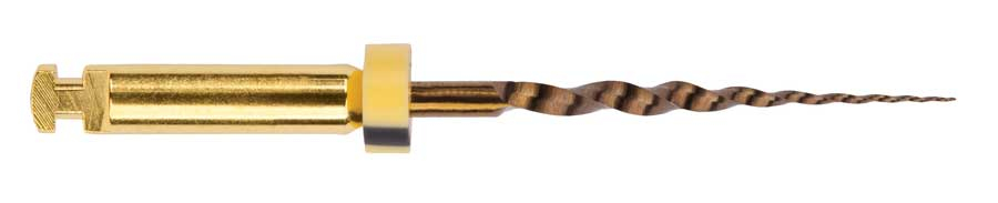 Protaper Gold™ Longueur 19 mm Dentsply Sirona 175001