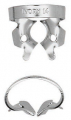 Crampons avec ailettes  Ivory 162199